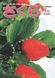 広報さくら平成31年1月1日号表紙 広報さくら平成31年1月1日号表紙