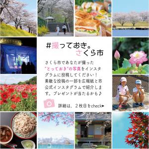 とっておき紹介画像1 とっておき紹介画像1