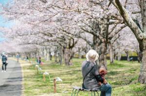 ゆうゆうパークさくらの写真 ゆうゆうパークさくらの写真
