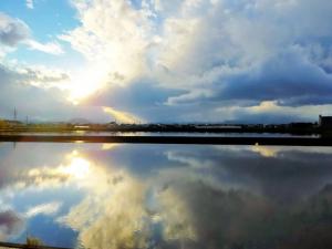 水田の写真 水田の写真