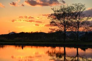 夕日の写真 夕日の写真