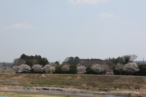 荒川水辺公園（右岸）の写真1