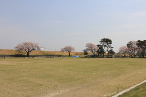 鬼怒川運動公園の写真2 鬼怒川運動公園の写真2