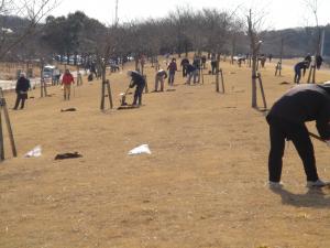 鬼怒川桜づつみの写真 鬼怒川桜づつみの写真