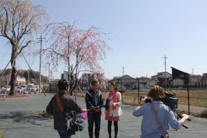 桜守活動の写真4 桜守活動の写真4