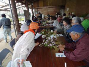 桜見本園の写真5 桜見本園の写真5