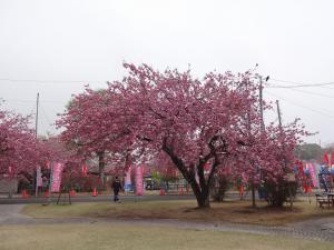 天平の丘の写真2 天平の丘の写真2