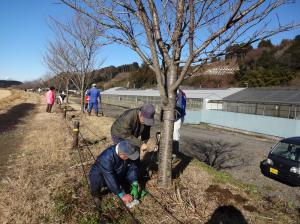 施肥の写真2 施肥の写真2