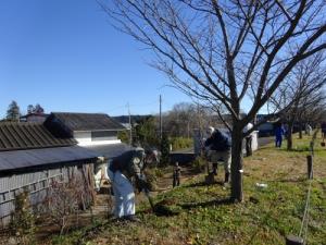 荒川施肥活動の写真2 荒川施肥活動の写真2