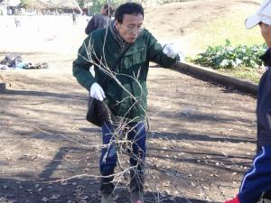 テング巣病処置の写真1 テング巣病処置の写真1