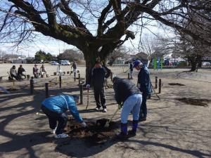 施肥作業の写真1 施肥作業の写真1