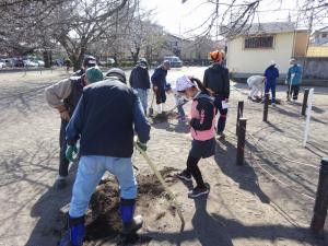 施肥作業の写真4 施肥作業の写真4