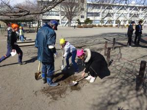 施肥作業の写真6 施肥作業の写真6