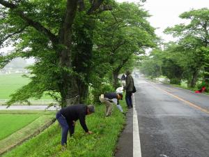 実生講座の写真2 実生講座の写真2