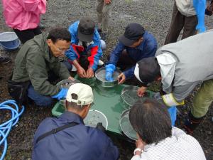 実生講座の写真4 実生講座の写真4