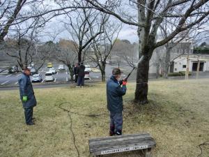 コケ除去作業の写真1