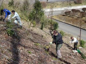 桜守ネットワークの活動の写真2 桜守ネットワークの活動の写真2