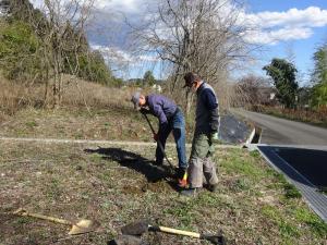 桜守ネットワークの活動の写真4 桜守ネットワークの活動の写真4