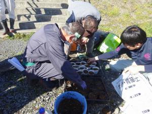 桜守ネットワークの活動の写真6 桜守ネットワークの活動の写真6