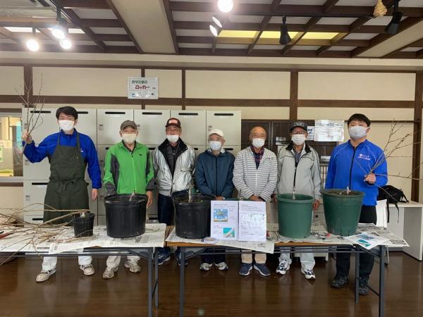 接木作業の写真1 接木作業の写真1