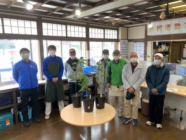 接木作業の写真2 接木作業の写真2