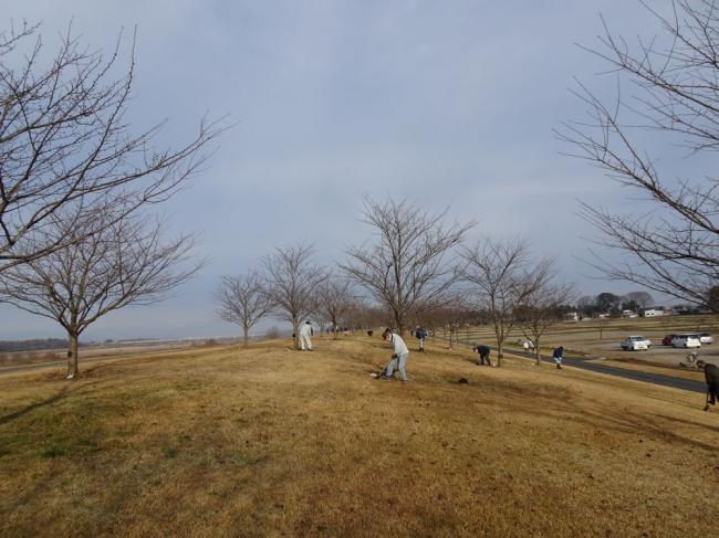 施肥活動の写真1 施肥活動の写真1