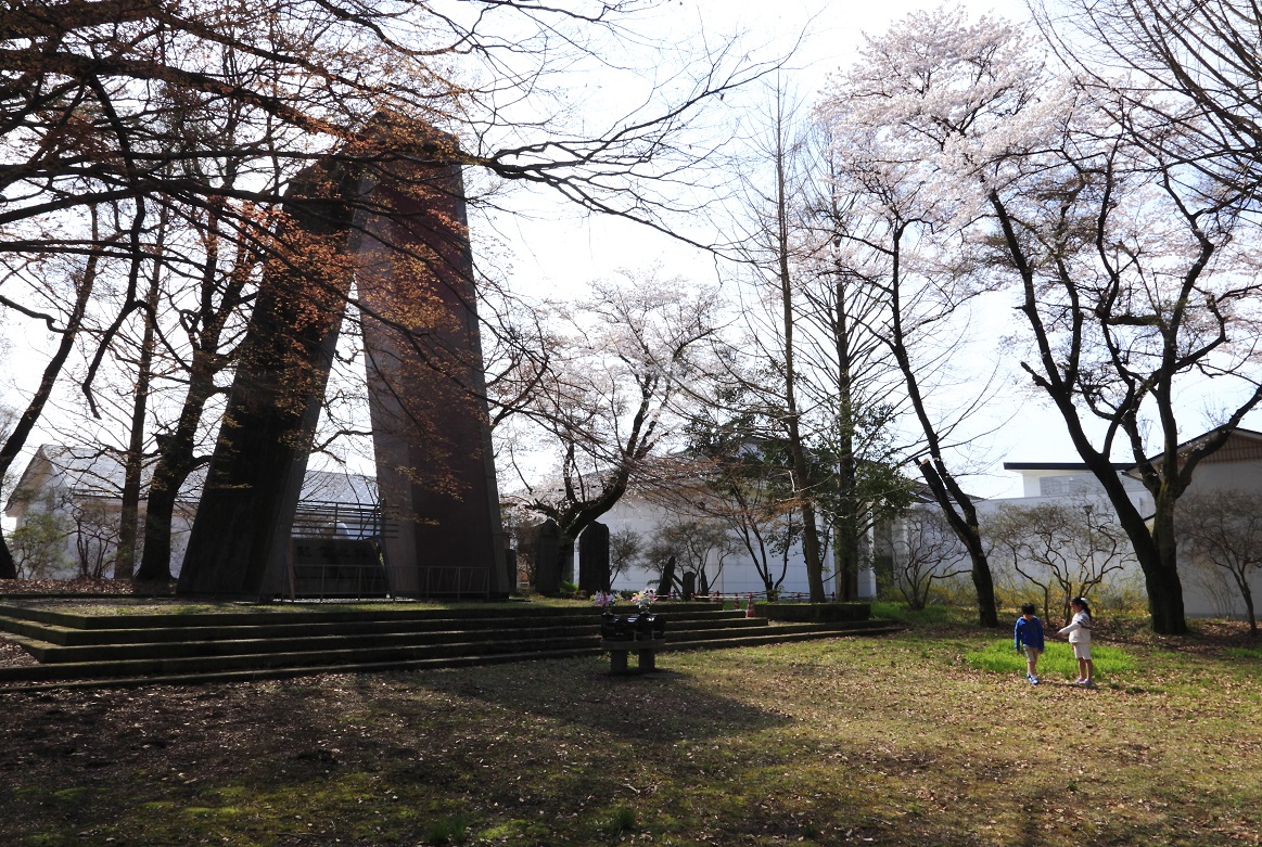 さくら市ミュージアムのさくらの写真4 さくら市ミュージアムのさくらの写真4