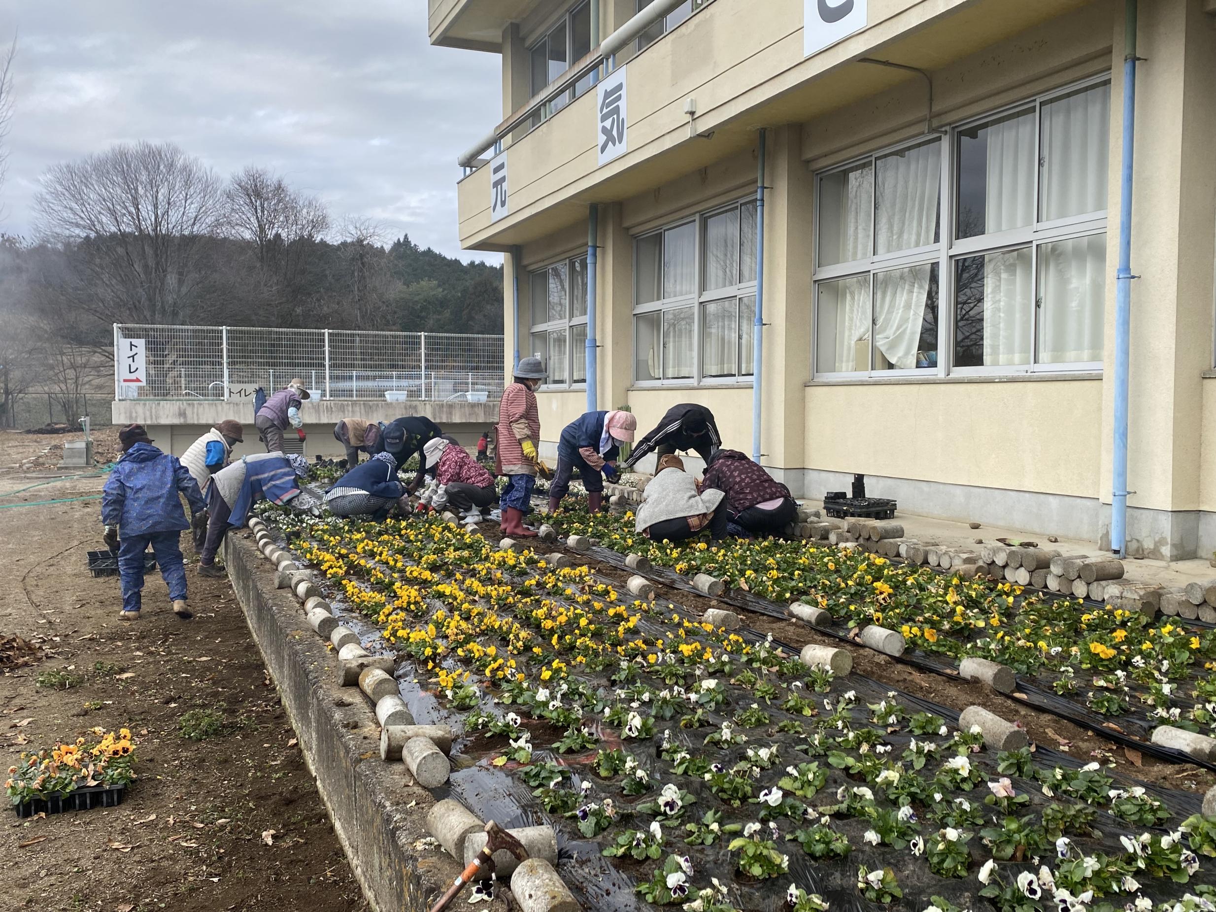 きれいに花が植えられた花壇の写真 きれいに花が植えられた花壇の写真