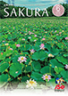 広報さくら令和5年6月1日号表紙