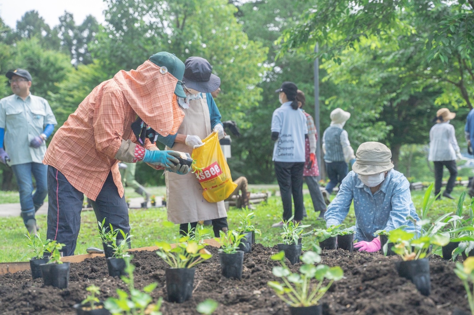 1687762368871 1687762368871