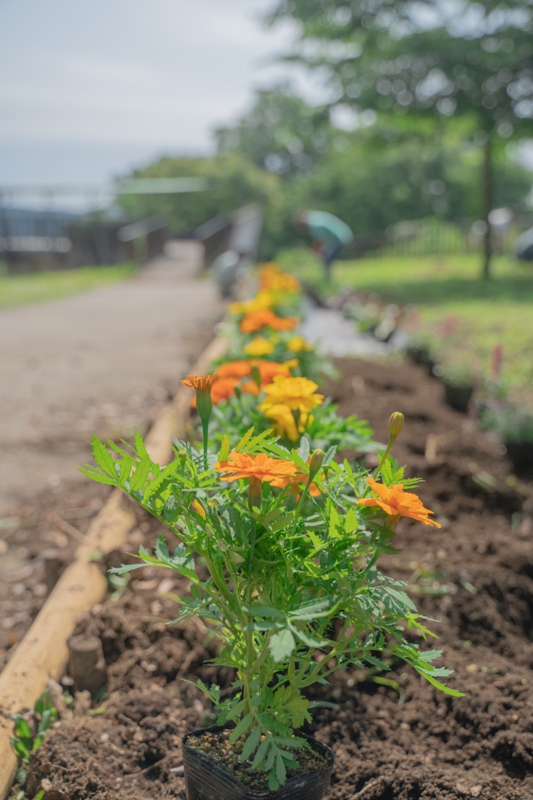 1687762379048 1687762379048