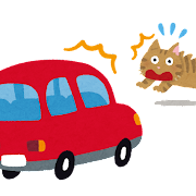 car_jiko_neko car_jiko_neko