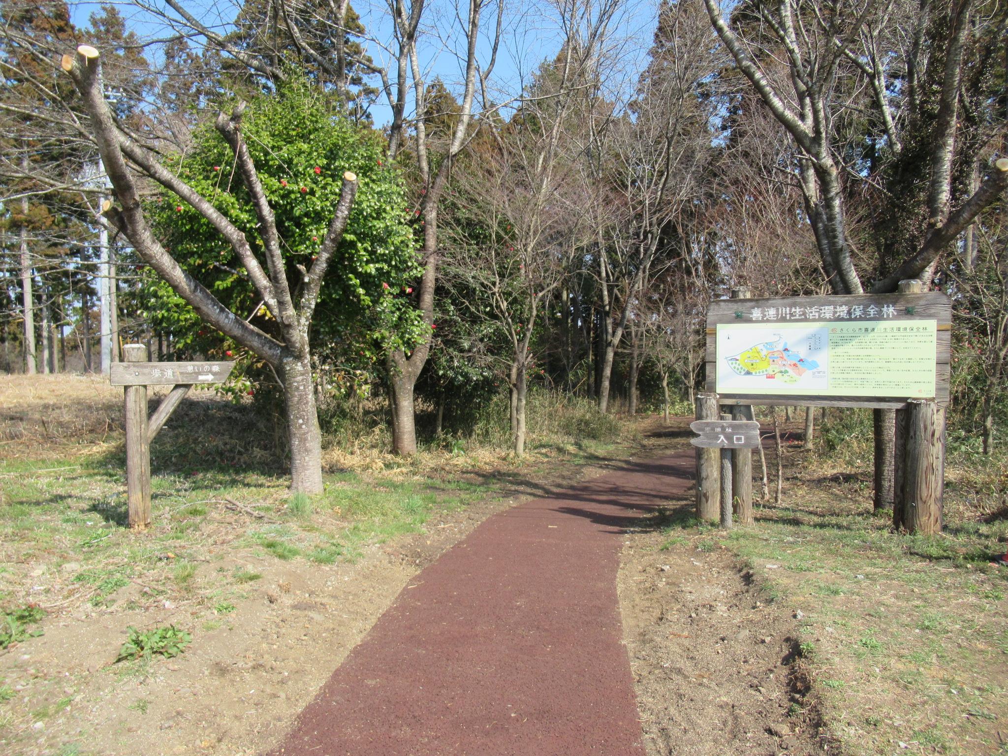 お丸山公園