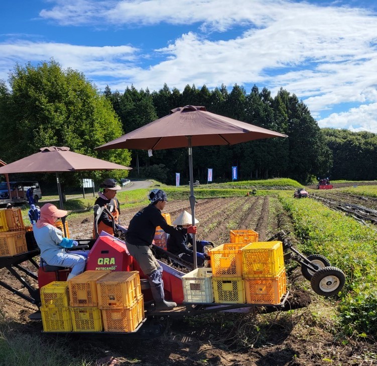 令和８年度さくら市地域おこし協力隊【農業承継×インフルエンサー】を募集します！