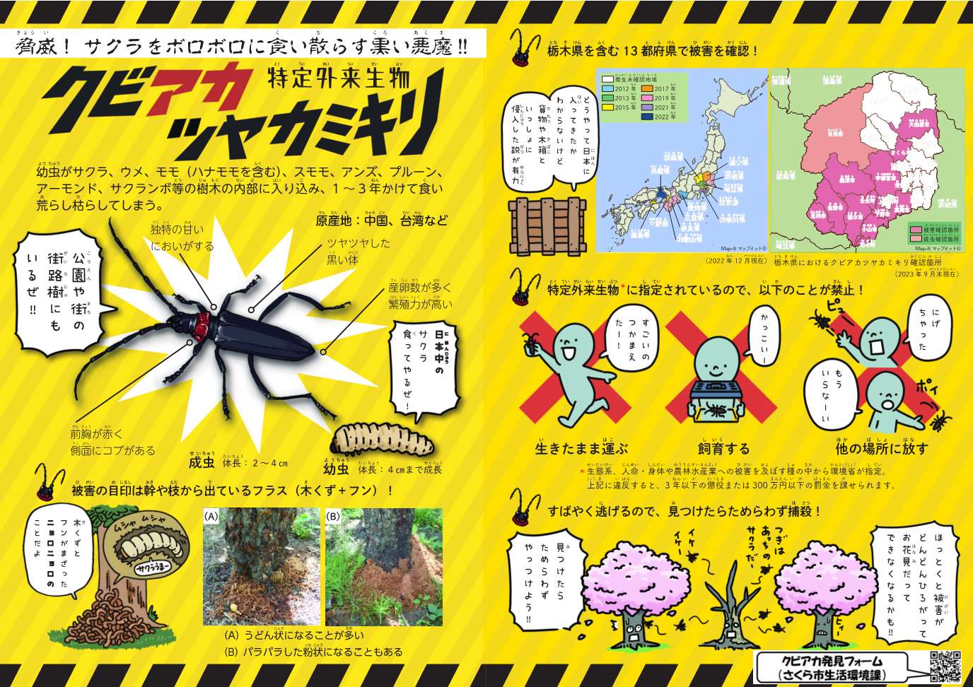 チラシ画像 チラシ画像