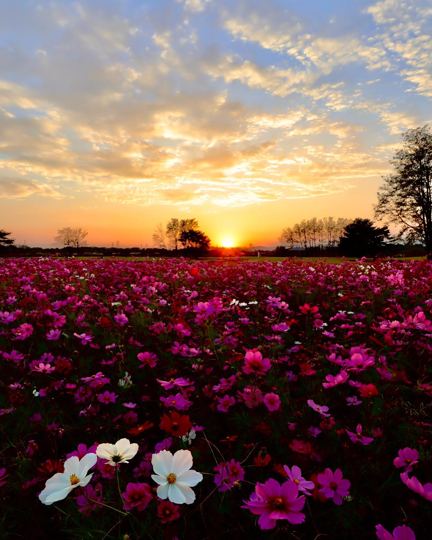 bizo_co2kit bizo_co2kit