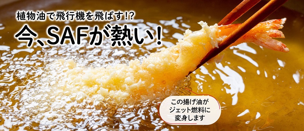 SAFのバナー画像