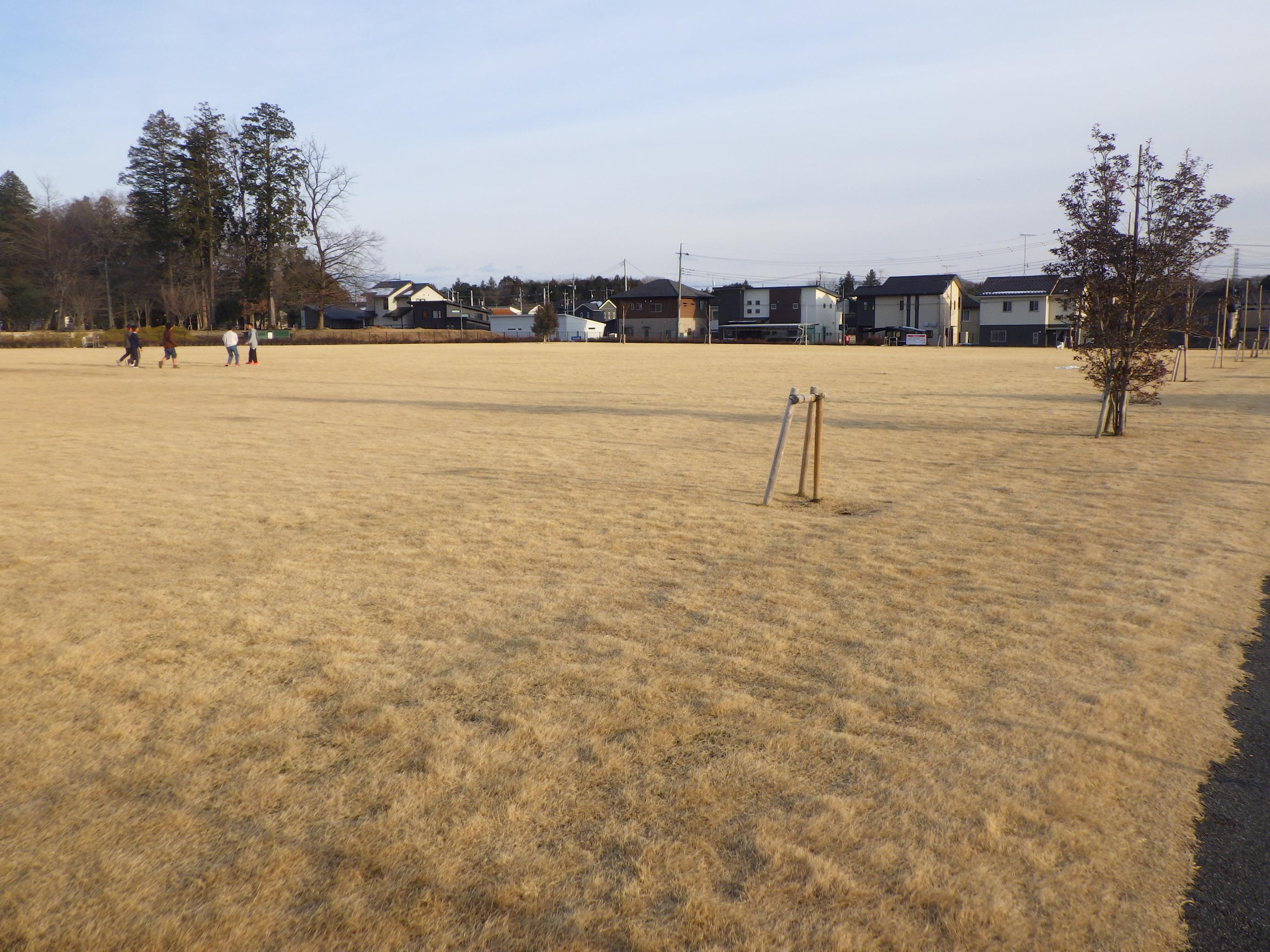 上阿久津台地近隣公園芝生 上阿久津台地近隣公園芝生