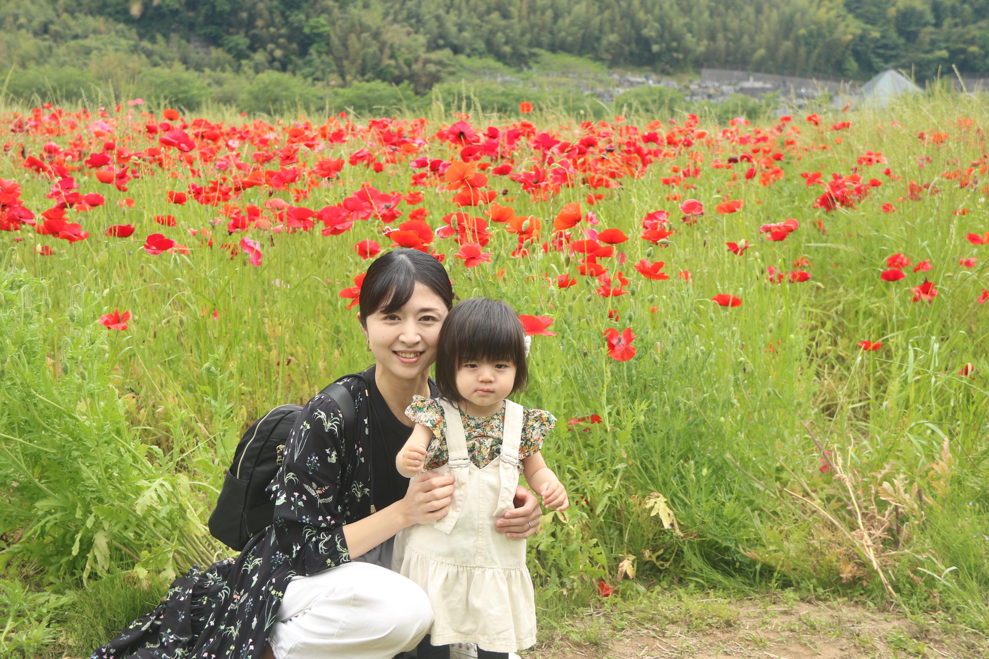 ポピー畑と親子の写真3