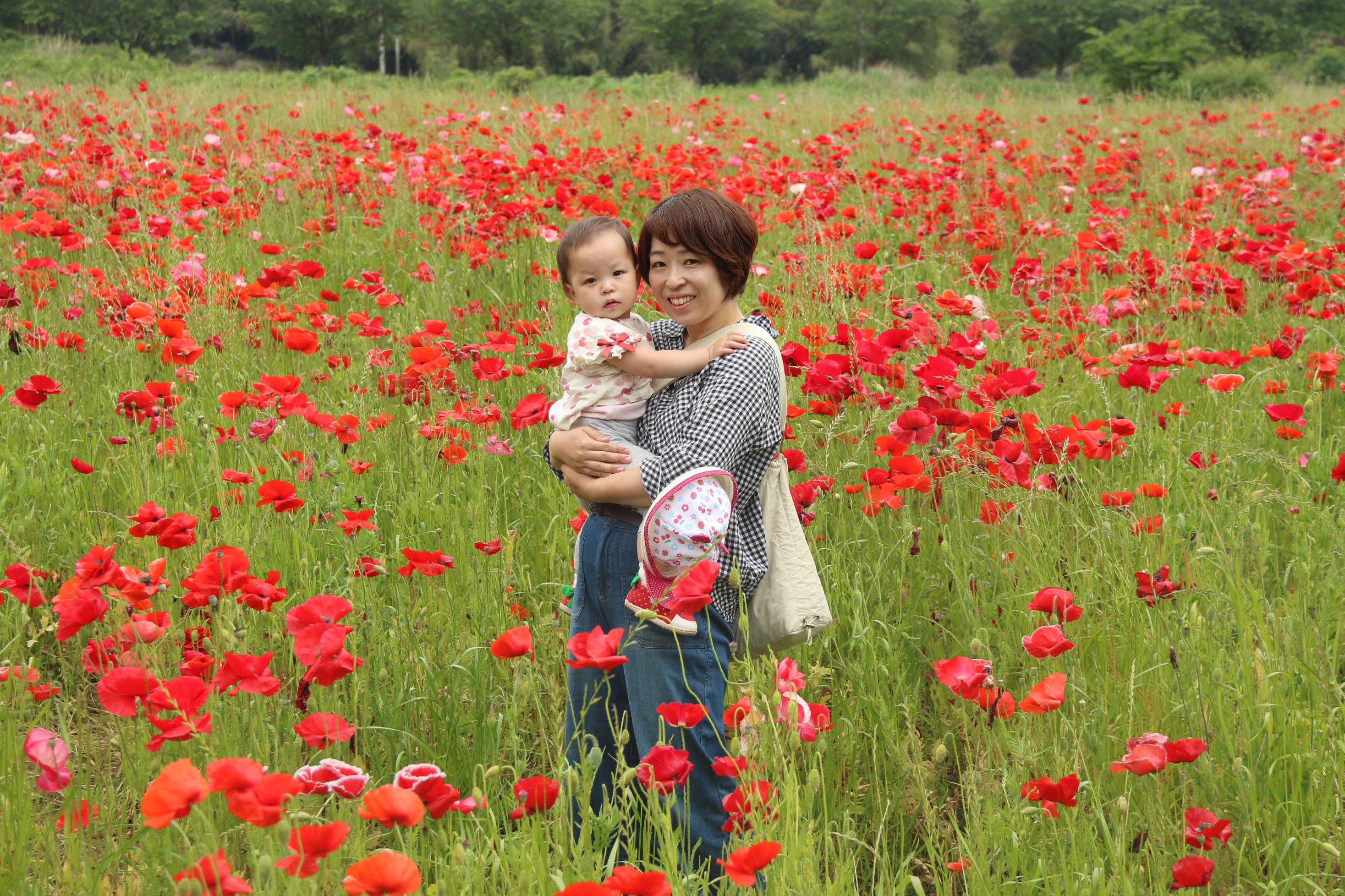 ポピー畑と親子の写真6