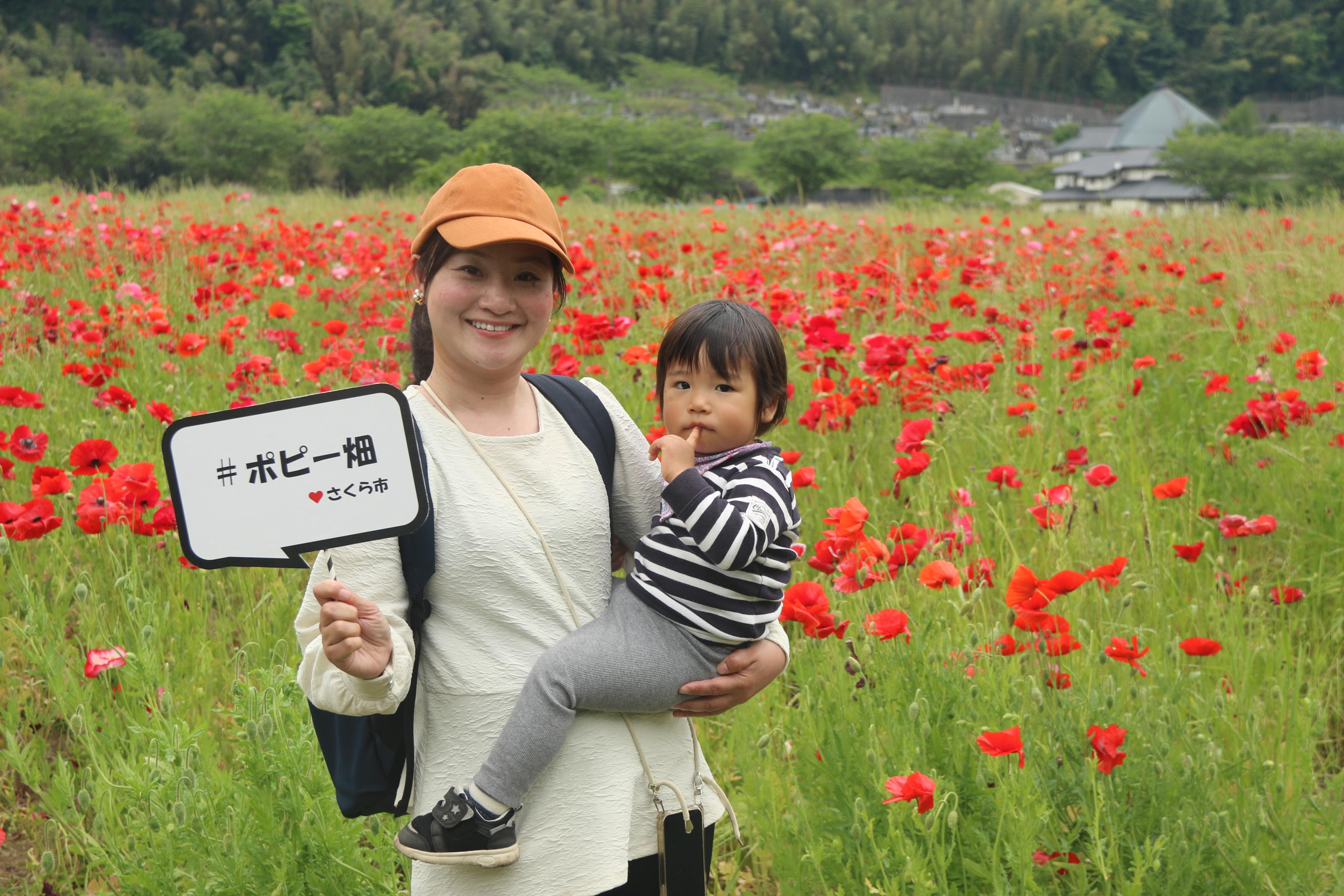 ポピー畑と親子の写真7
