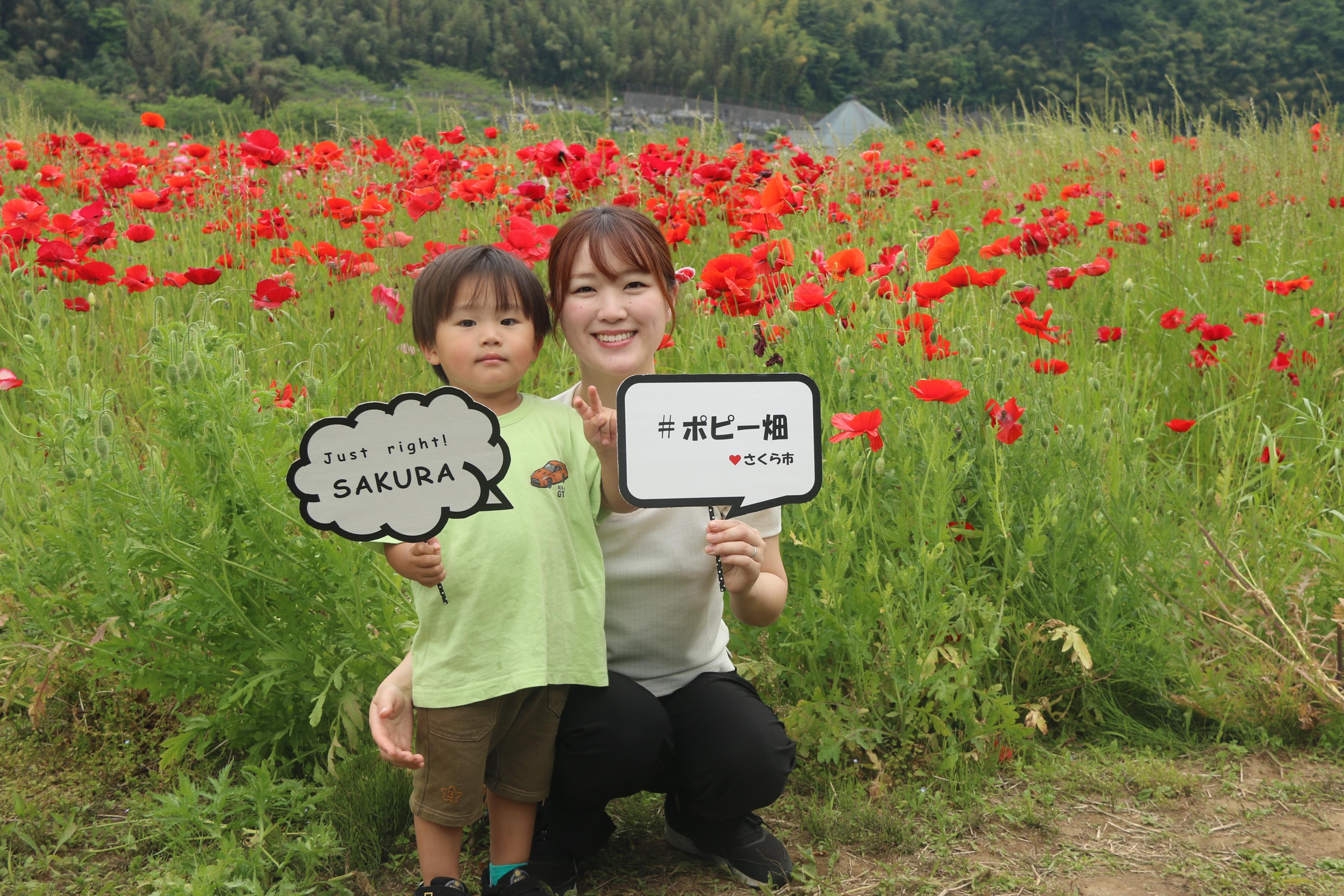 ポピー畑と親子の写真8