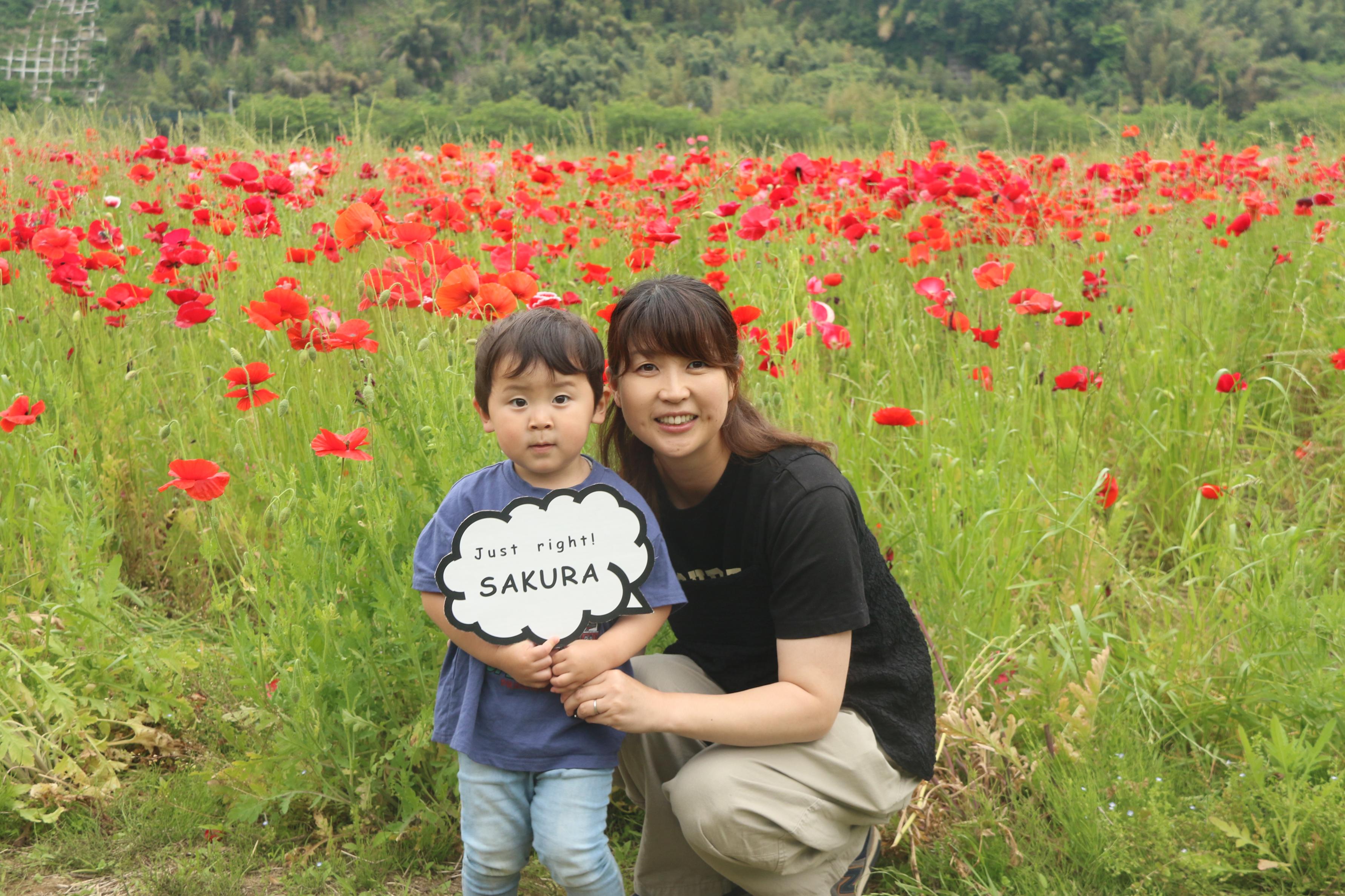 ポピー畑と親子の写真9