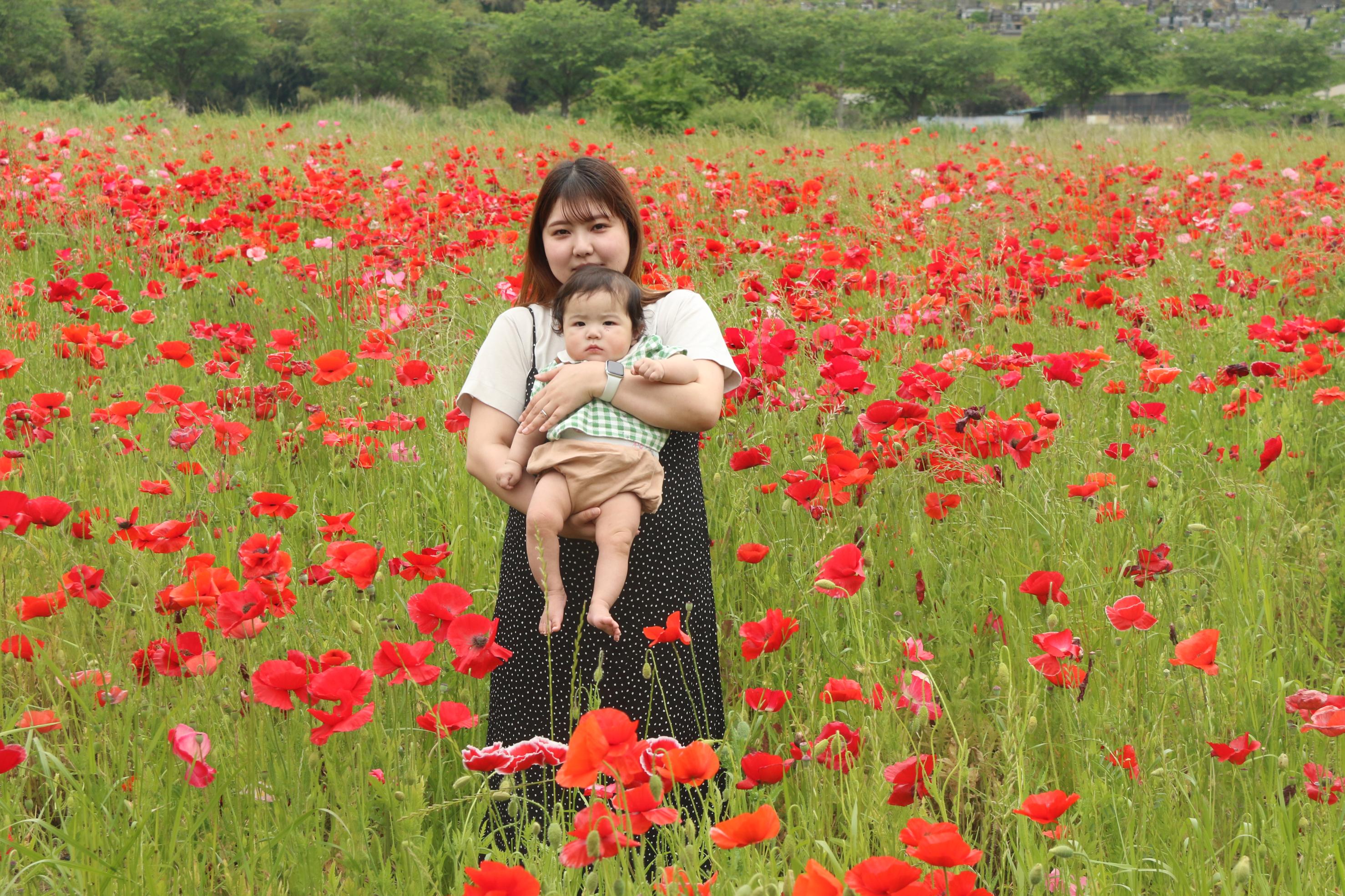 ポピー畑と親子の写真11