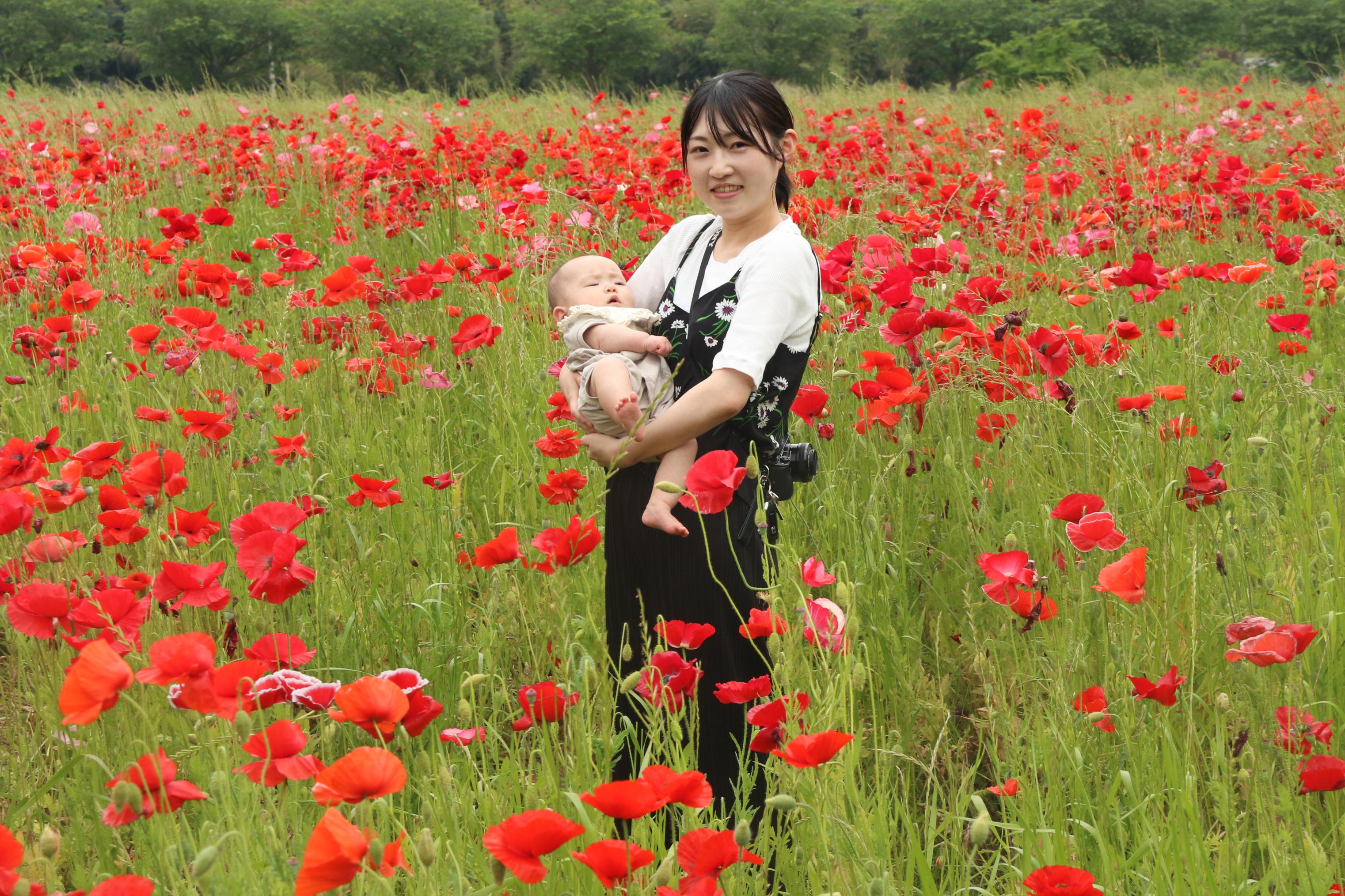 ポピー畑と親子の写真12