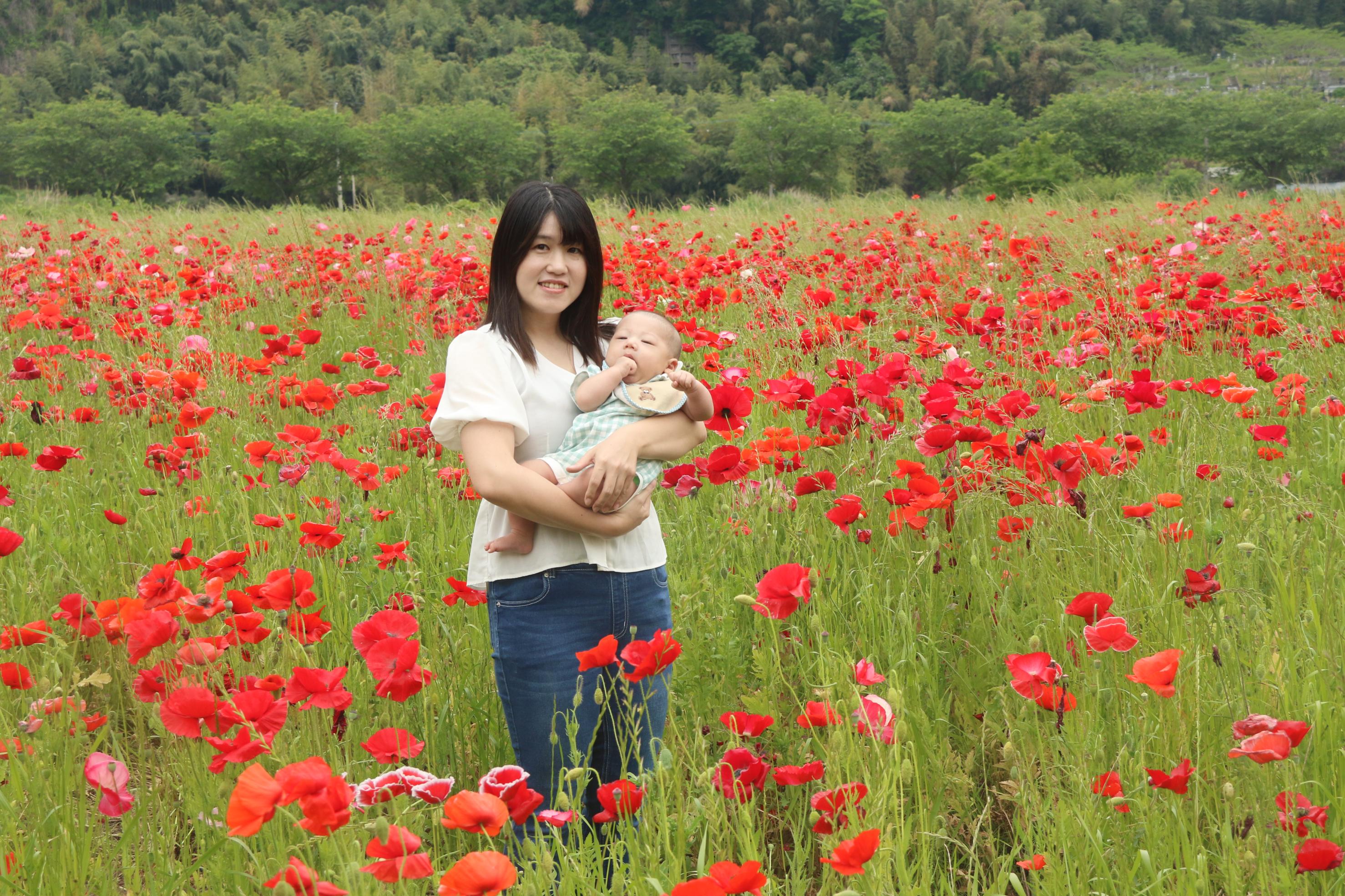 ポピー畑と親子の写真13