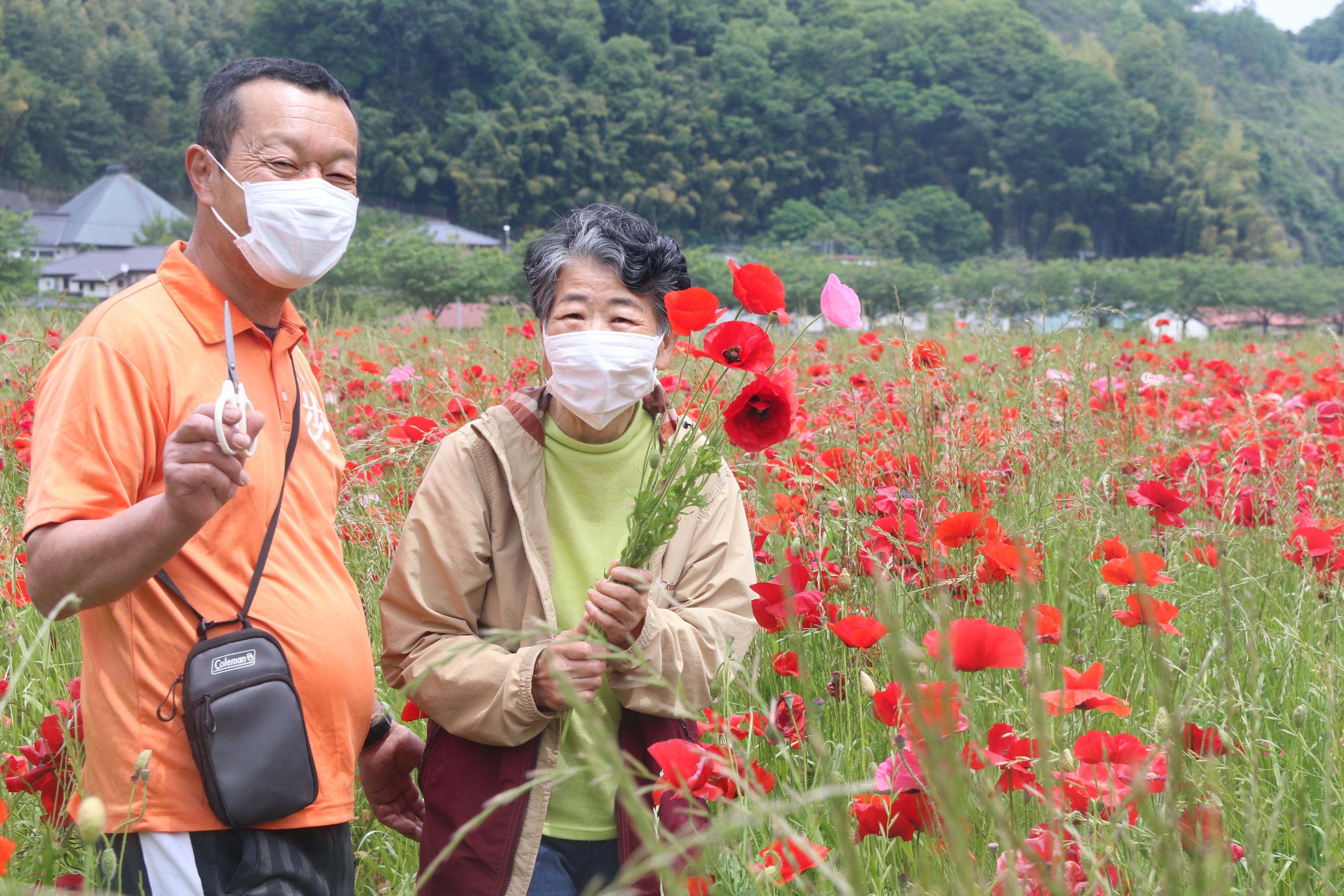 ポピー畑と男女の写真1