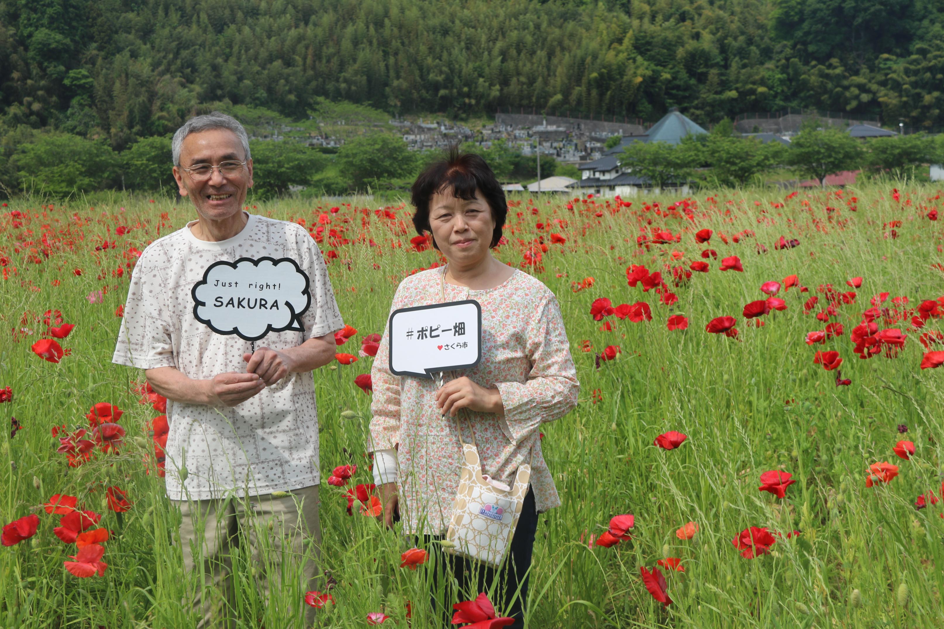ポピー畑と男女の写真2