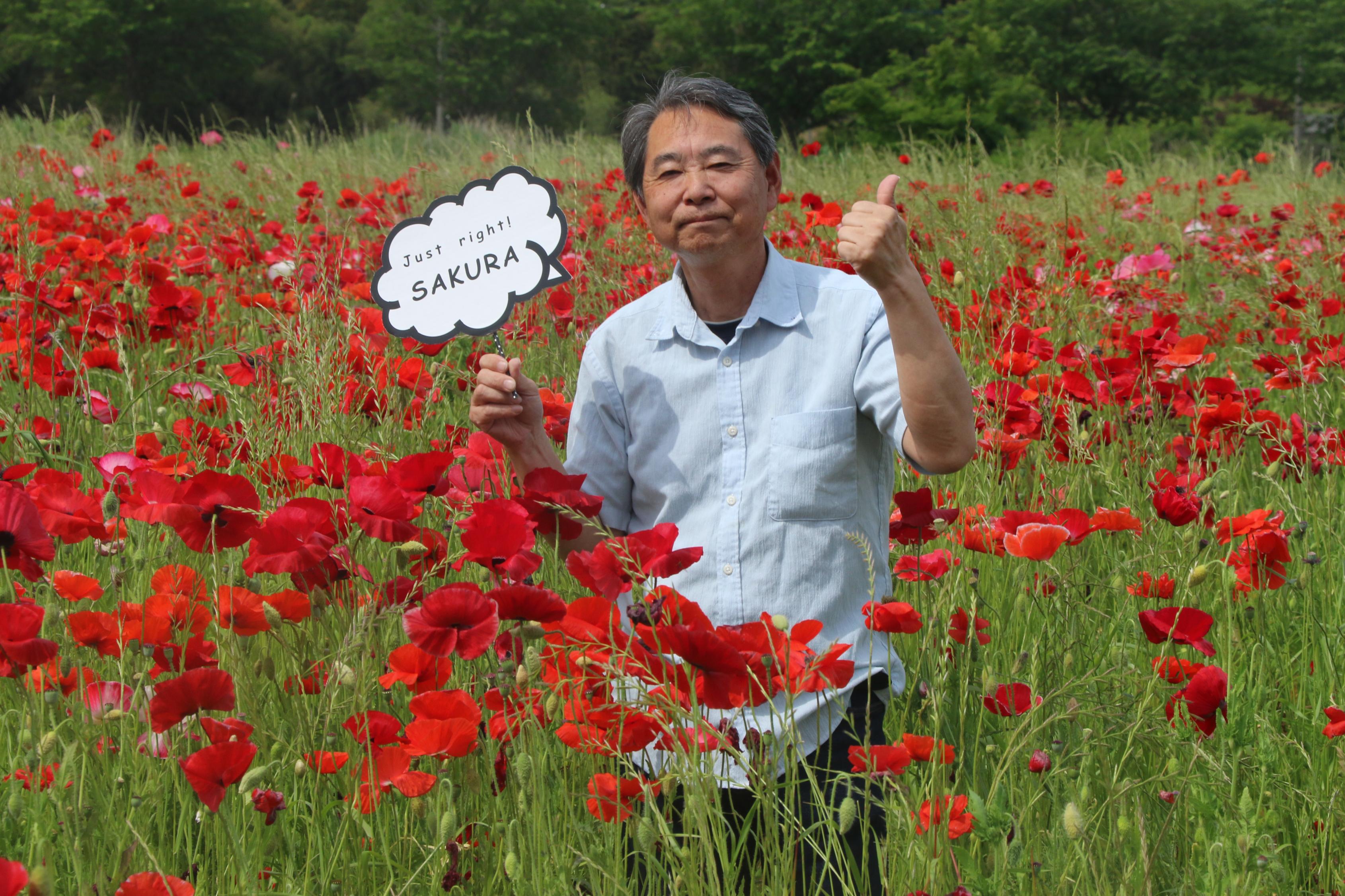 ポピー畑と男性の写真2