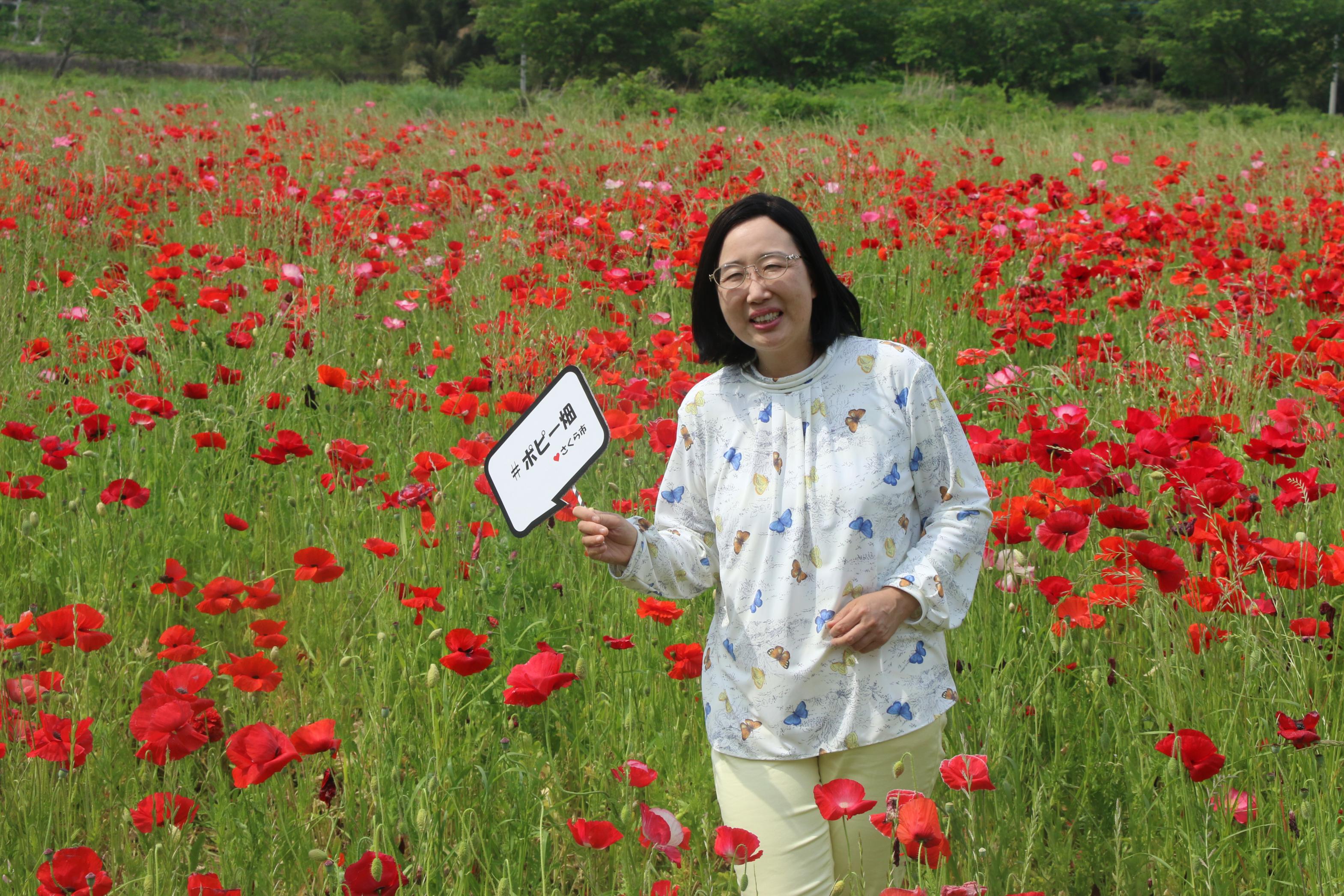 ポピー畑と女性の写真3